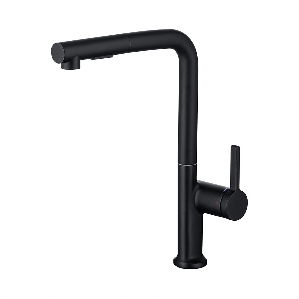 Simple Style Brass Dual Mode Spout Pull Out Kitchen Faucet - Swivel