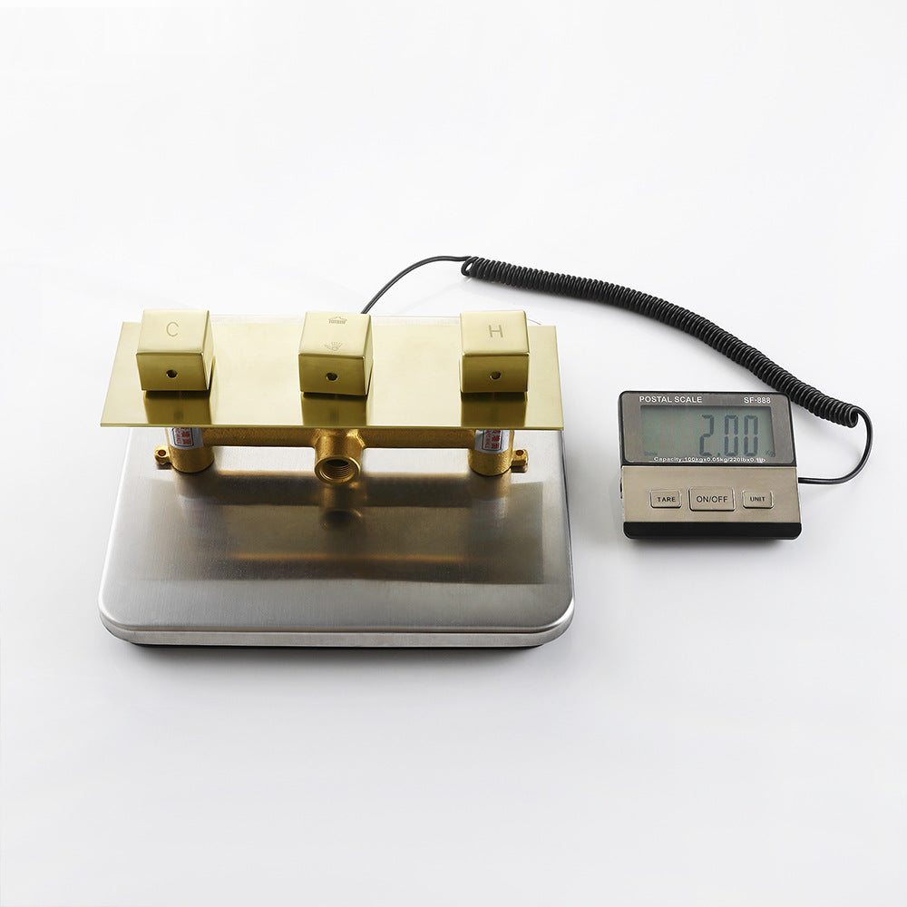 Eumtenr 8 Inch All Brass Shower with Dual Function Wall Mounted Shower Set