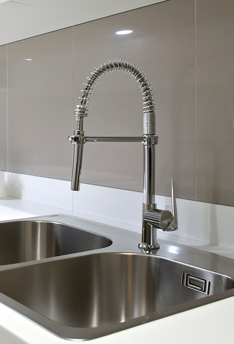 kitchen faucet with sprayer